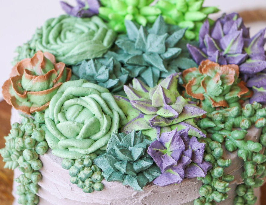 flamingo succulent Succulent Cake Workshop – Give Me Some Sugar