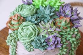 Succulent Cake Workshop